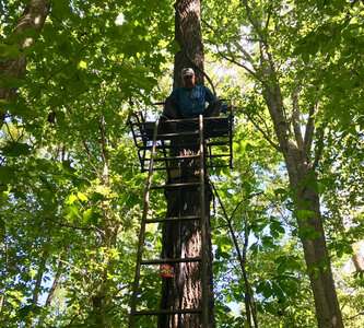 FWS emoloyee testing deer stand