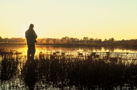 Hunt sunset 