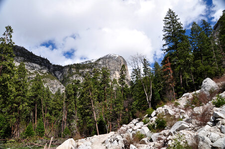 Yosemite Valley landscape with trees photo