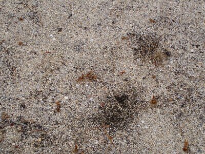 Background dirt 