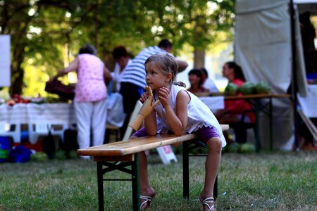 Park picnic festival