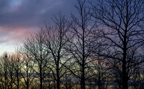 Skyline sky sunset photo