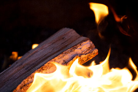Campfire Wood Close up photo