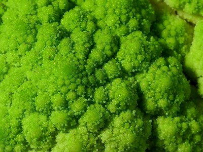 Broccoli greenery 