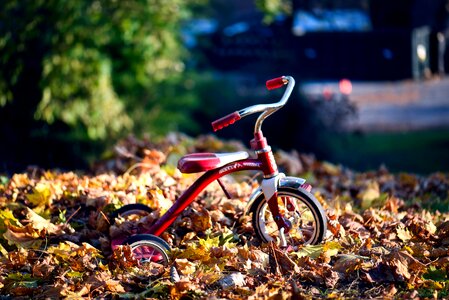 Antique childhood leaves
