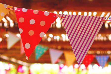 Birthday Party Flags photo