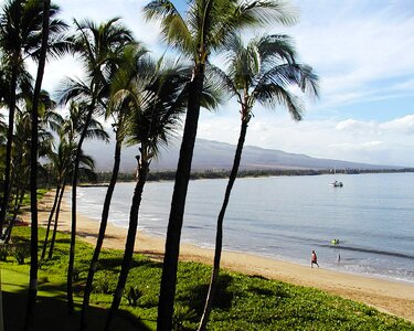 Maui hawaii ocean photo