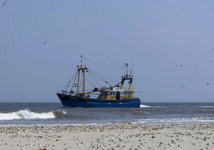 Anchor bay beach photo