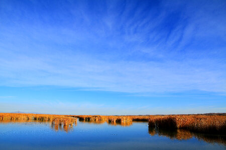 Cibola National Wildlife Refuge-4 photo