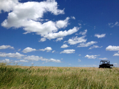 Field with blue sky photo