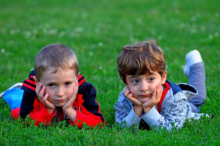 Grass nature innocence photo