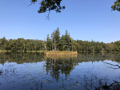 Island in the lake