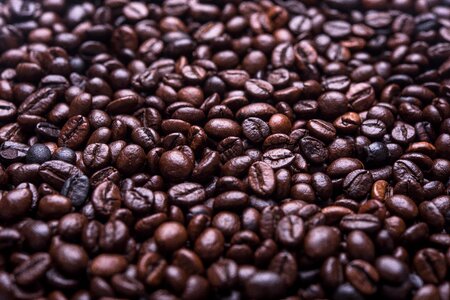 Coffee beans photo