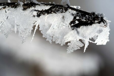 Cold crystal frost photo