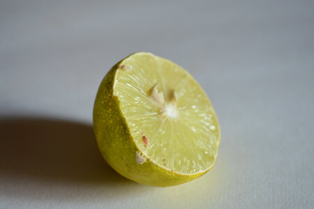 Cut Lemon