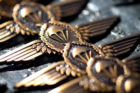 Army german germany