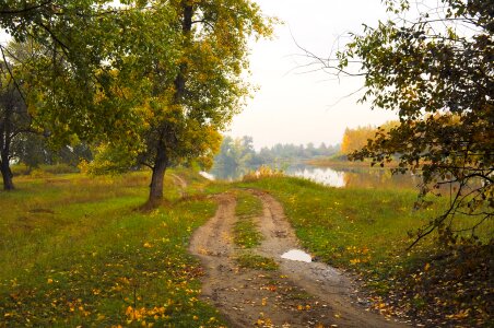 Walking paths leaves grass photo