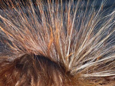 Hair to mountains are electric charge charged