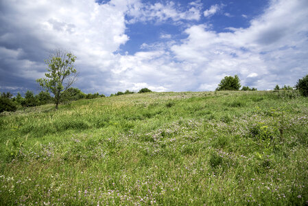 Landscape with clouds over the hill on the grass at Goose Lake Wildlife Area photo