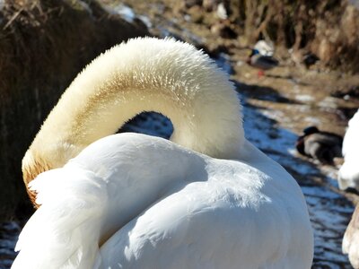 Bird river lake photo