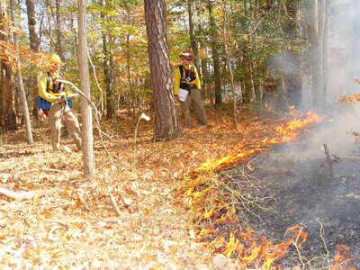 Fire firefighter 