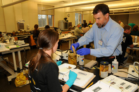 Instructor and student identify fish in the lab classroom-3