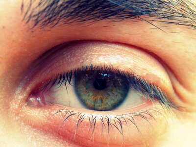 Eyes eye lashes green vision