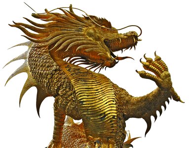 Dragons golden isolated