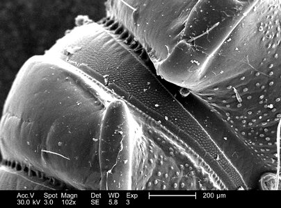 Component function surface