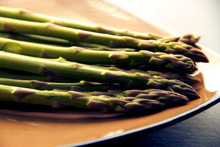 Asparagus greenery 