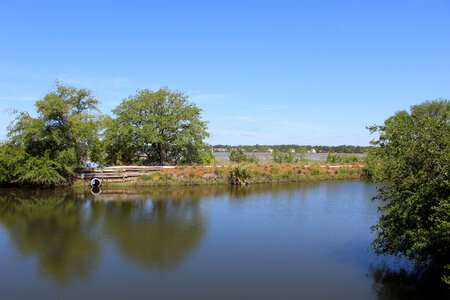 Hilton Head Island landscape photo