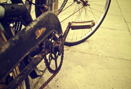 Old Bicycle Free Photo photo
