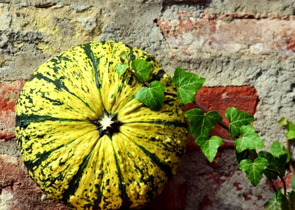 Autumn autumn season calorie