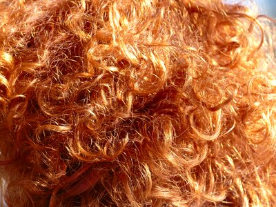 Fuchs red head woman