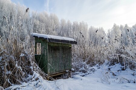 Hut scale fishing photo