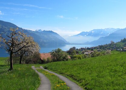 Vision spring landscape