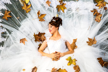Wedding Dress & Bride photo