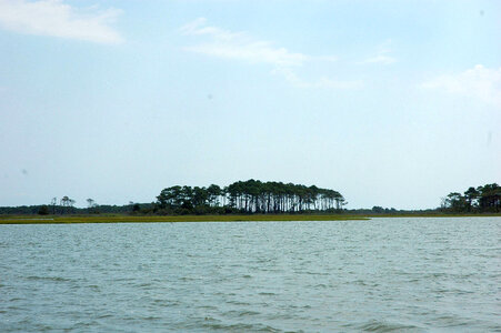 Wetland at Chincoteague National Wildlife Refuge
