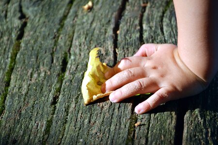 Autumn child hand