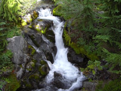 Fall mountain trail