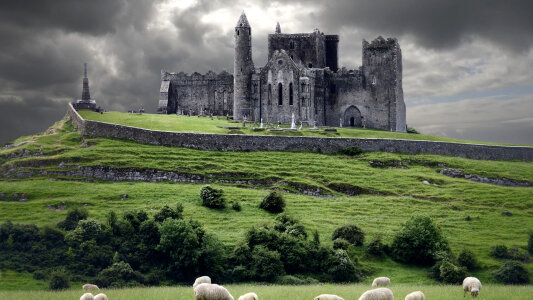 Stormy castle ruins and field with sheep photo