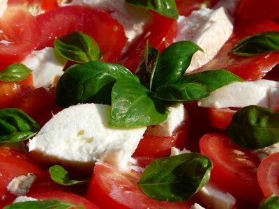 Mozzarella cheese healthy photo