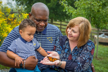 Family with monarch butterfly on goldenrod flowers-1