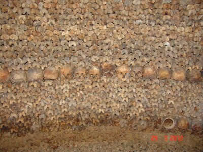 Bones skull catacomb