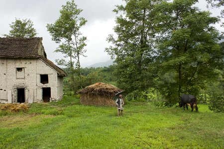 Cowherd barn hut photo