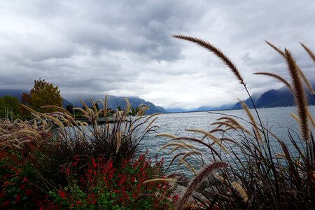 Show landscape water