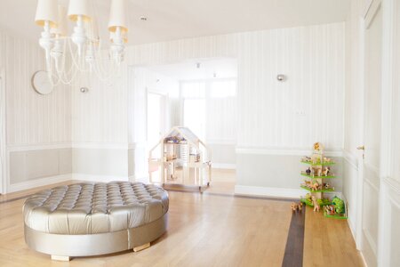 Room luxury couch