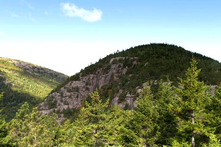 Clouds conifer conifers