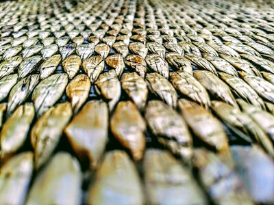 Weave Patterns