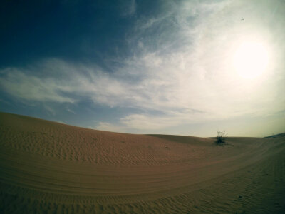 18 Desert safari photo